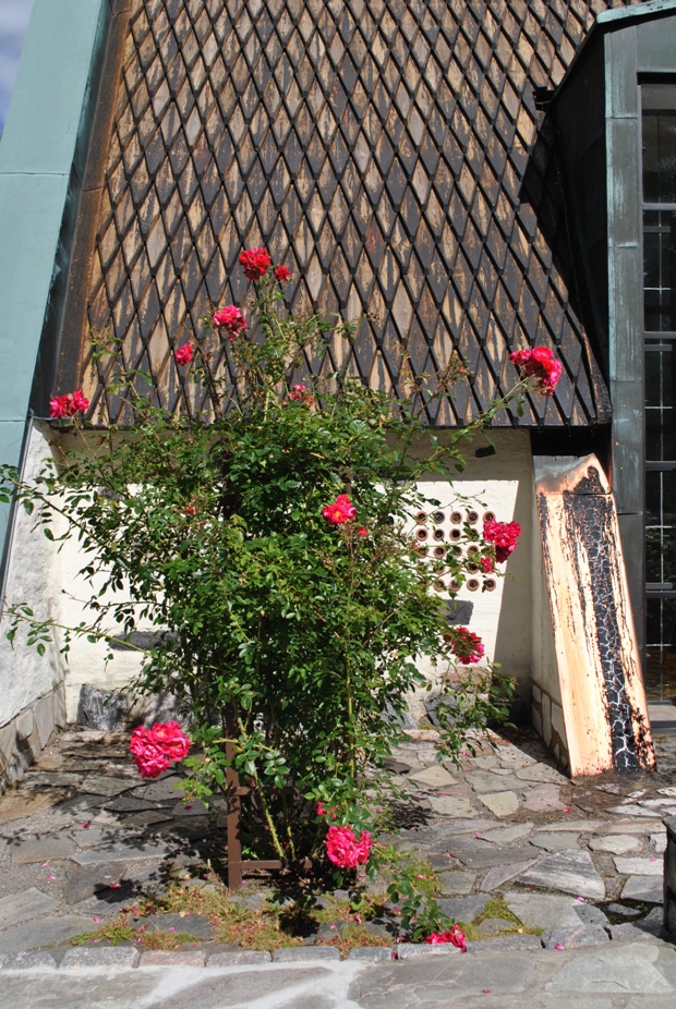 honkanummen_kappeli_ruusu