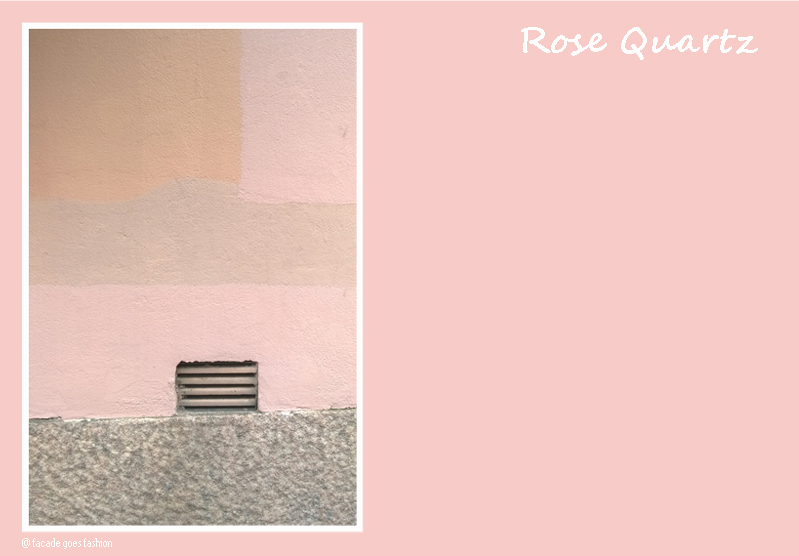 Pink wall Pantone 2016 Rose Quartz