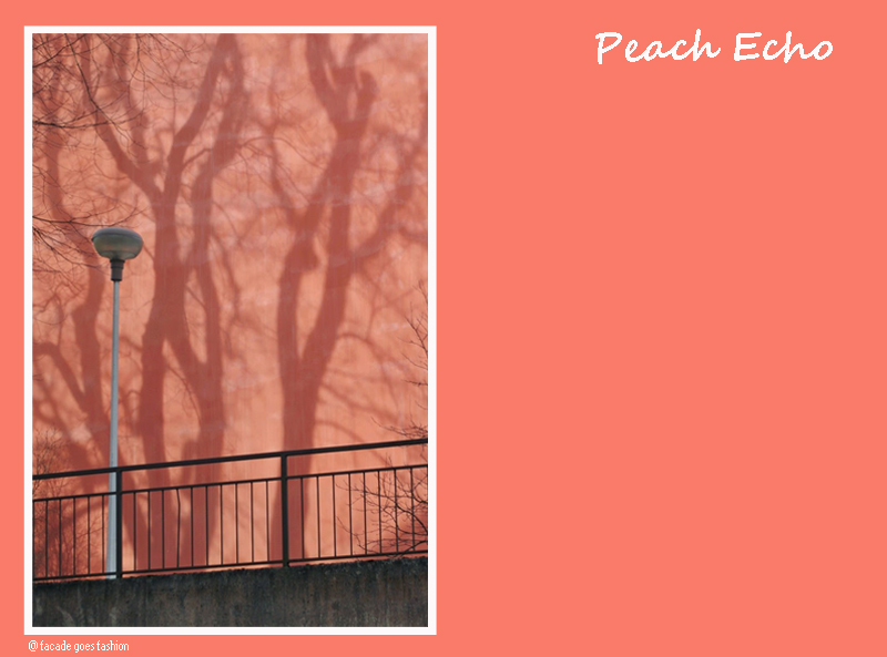 Salmon wall  Pantone 2016 Peach Echo