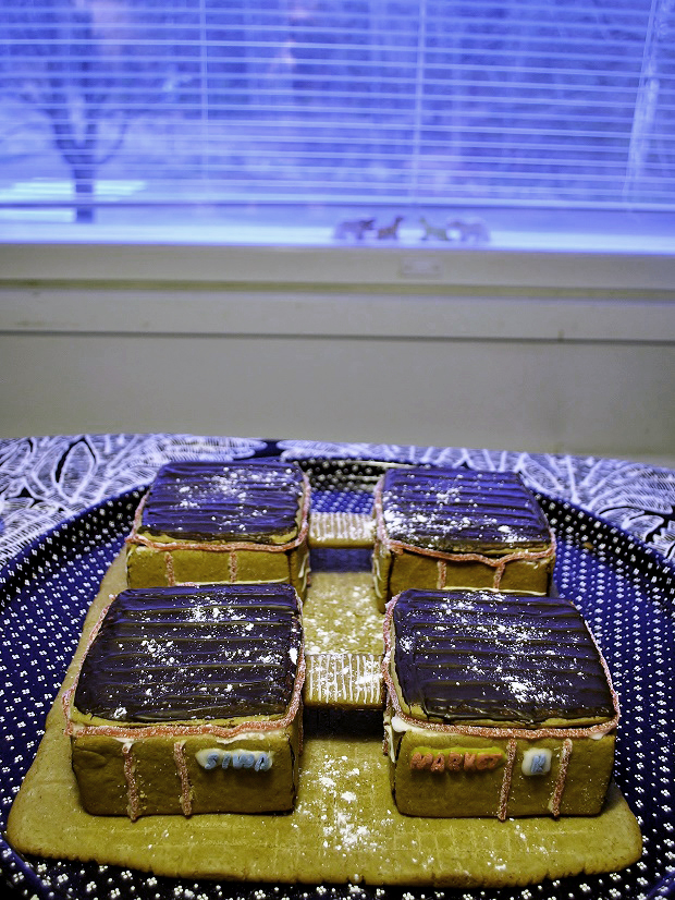 piparkakku_ostari_ilmakuva_0_0