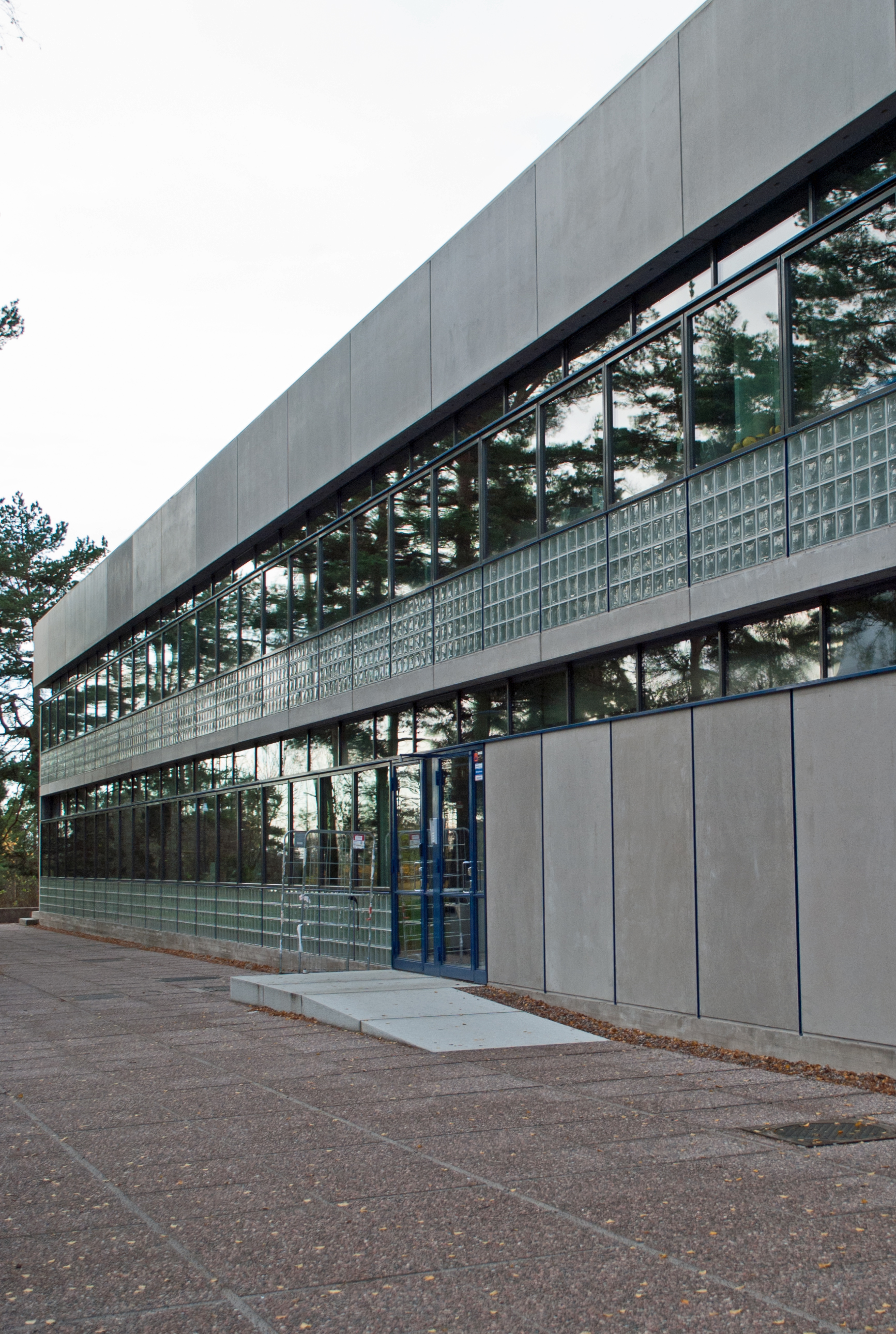 roihuvuoren-koulu_ikkunat