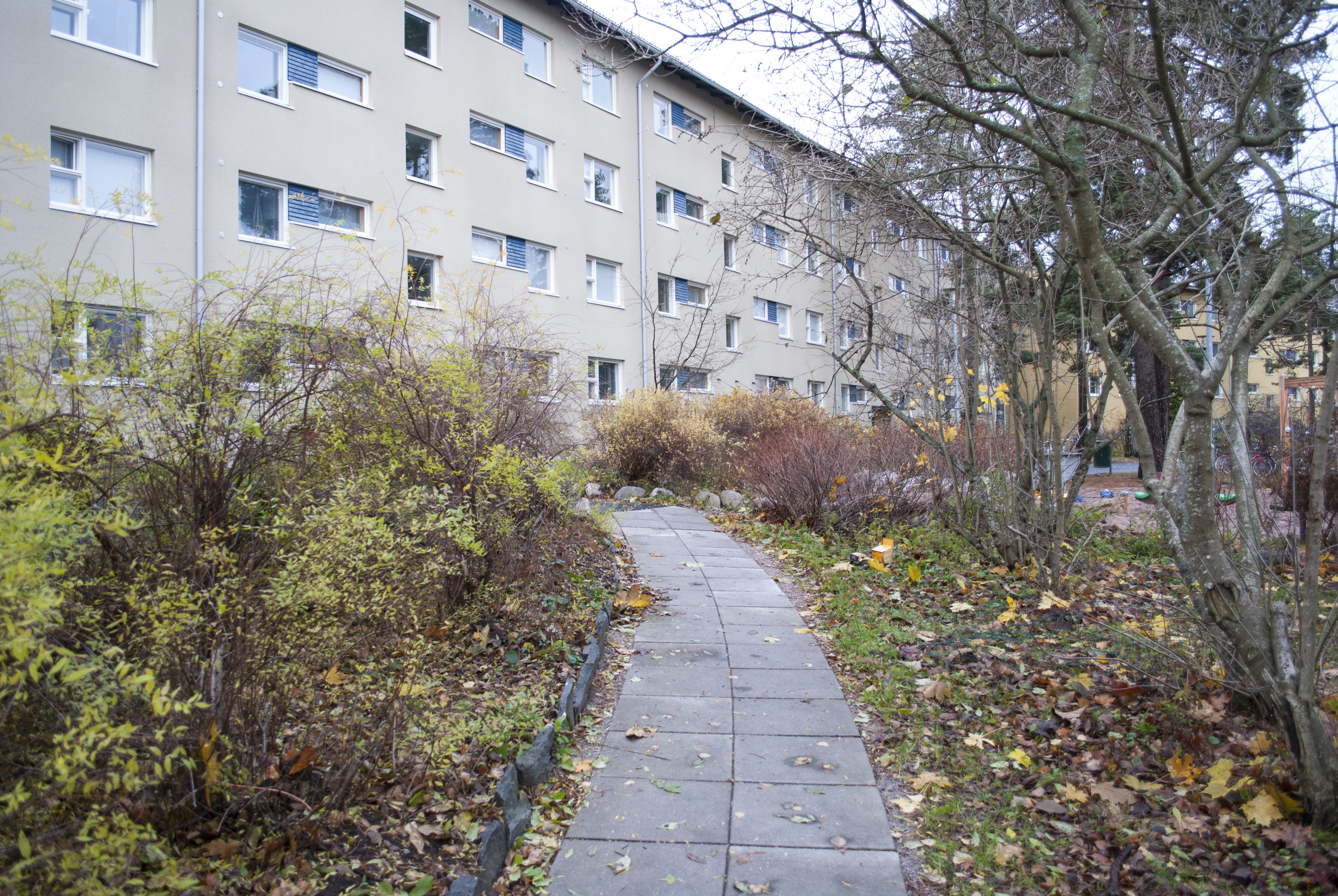 Vuorenpeikontie Roihuvuori