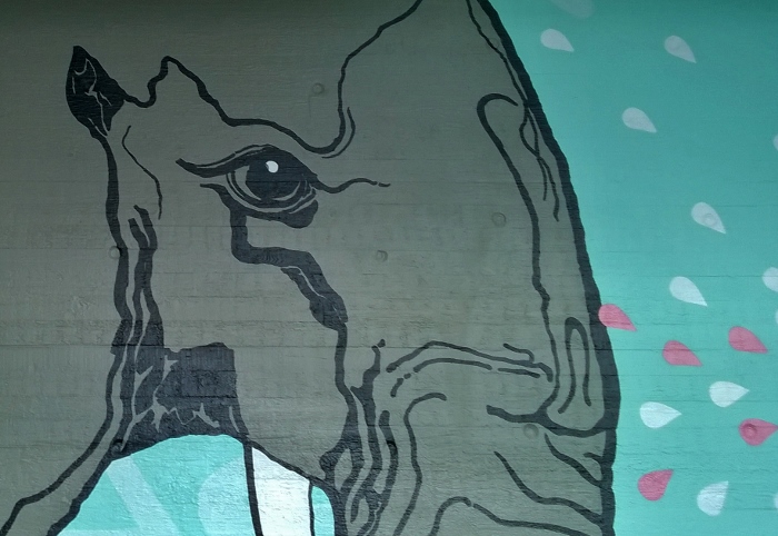 Norsun silmä Myyrmäki