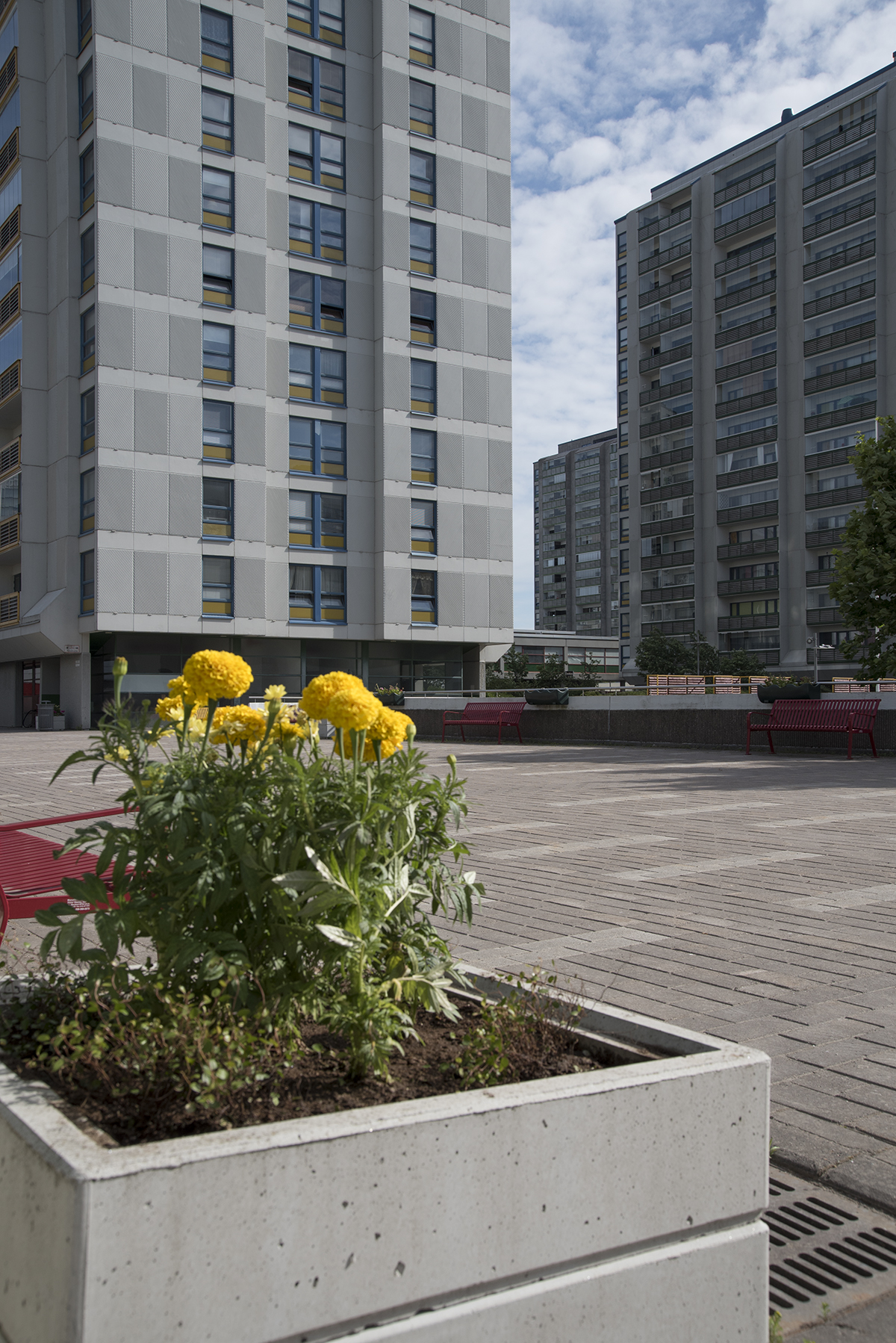 Merihaka kukkalaatikko