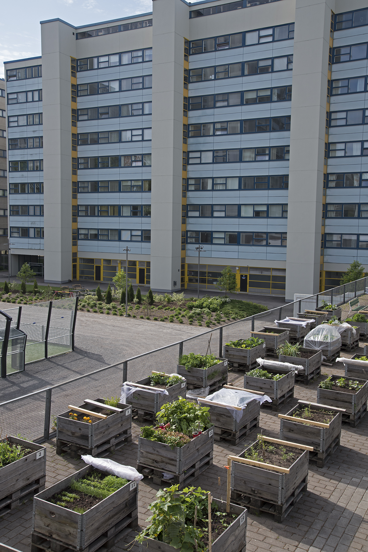 Merihaka viljelylaatikot