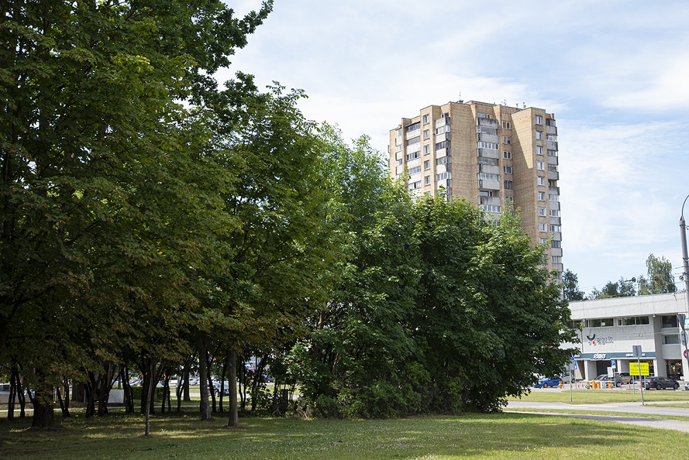 Dainava puiston laidalla